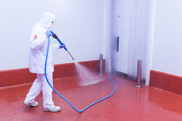 Best Soft Washing  in Hughson, CA